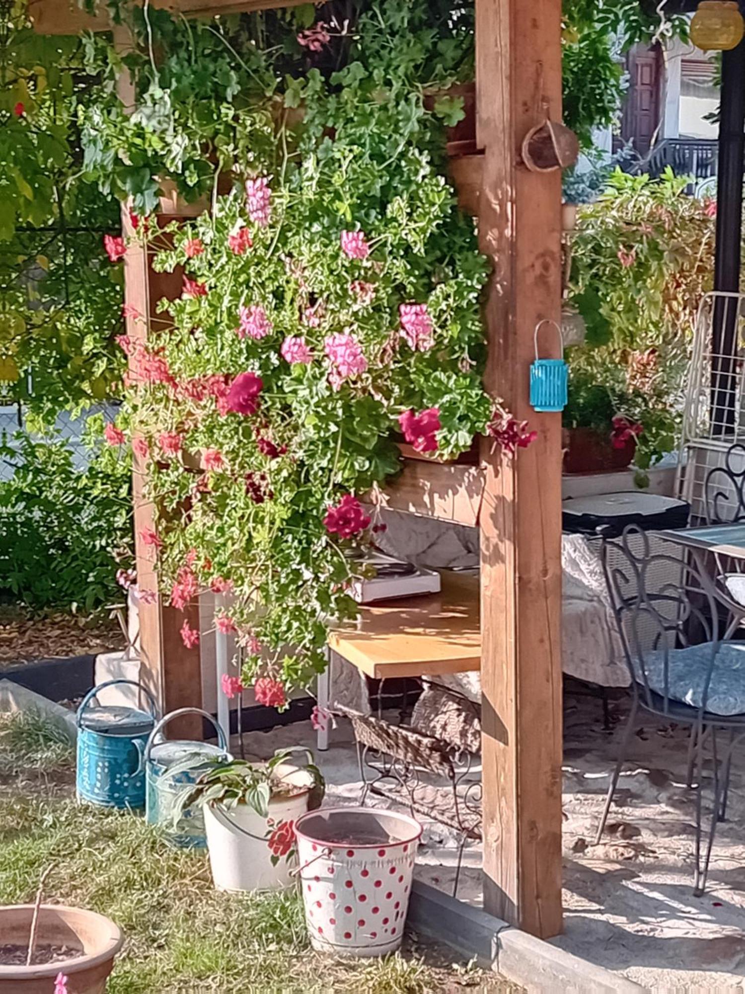 Rose Room 40M2 With Terrace 25M2 In Greeny Area For 4 Person Любляна Екстер'єр фото
