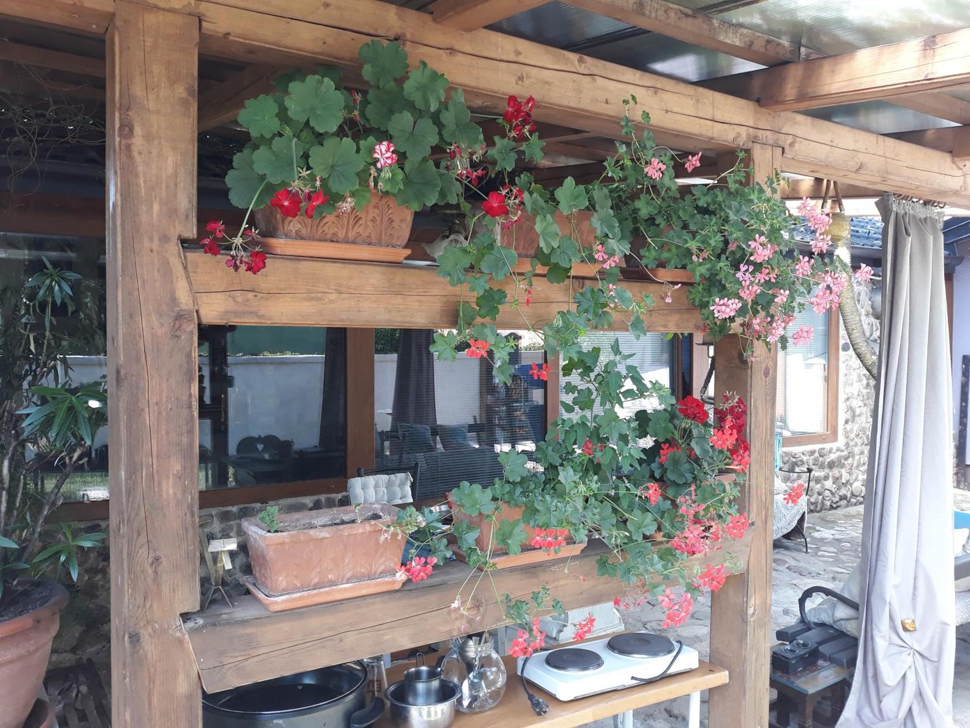Rose Room 40M2 With Terrace 25M2 In Greeny Area For 4 Person Любляна Екстер'єр фото