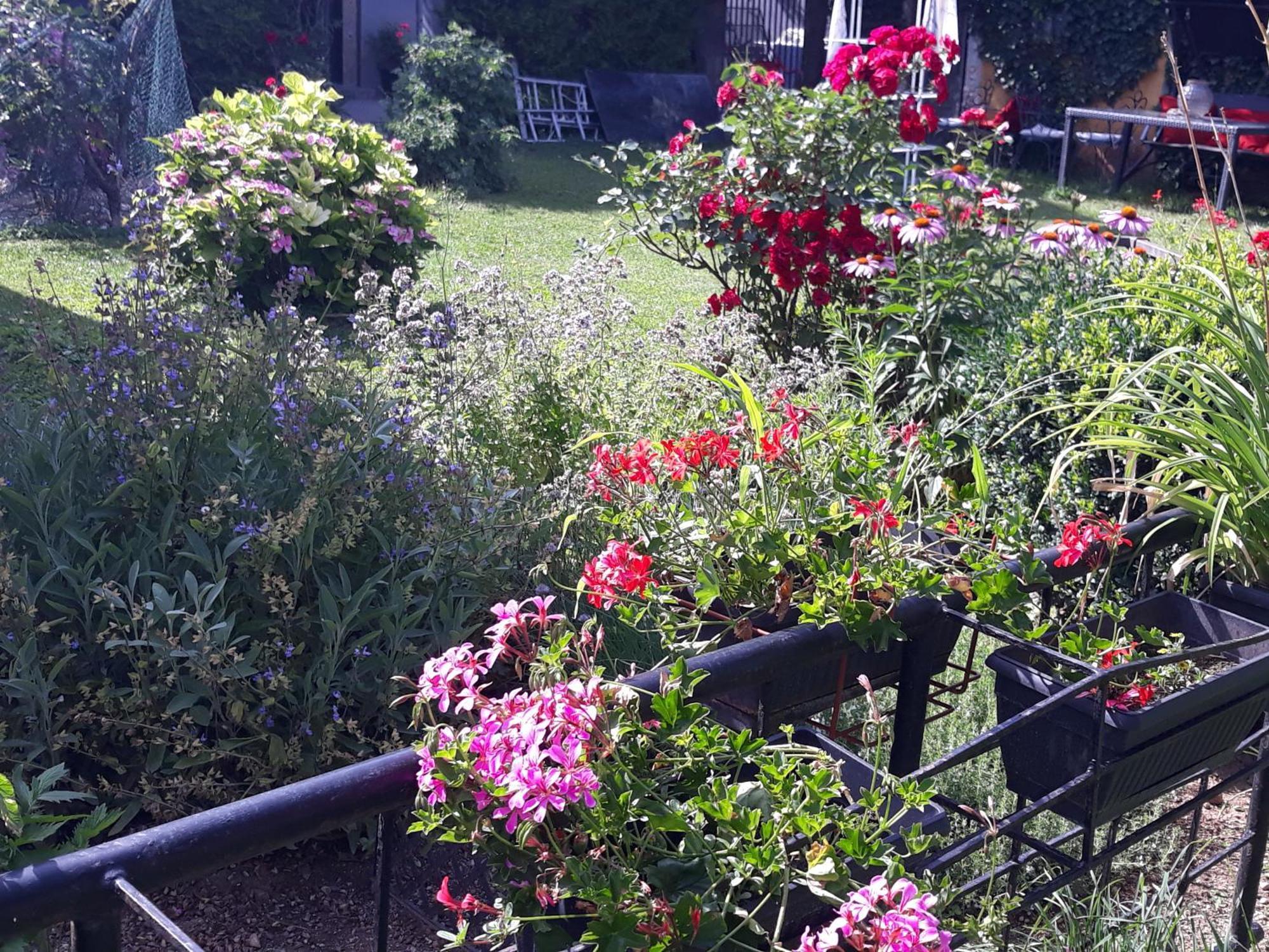 Rose Room 40M2 With Terrace 25M2 In Greeny Area For 4 Person Любляна Екстер'єр фото