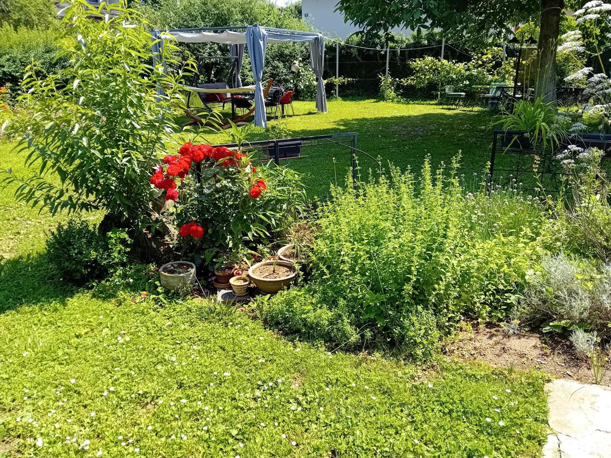 Rose Room 40M2 With Terrace 25M2 In Greeny Area For 4 Person Любляна Екстер'єр фото