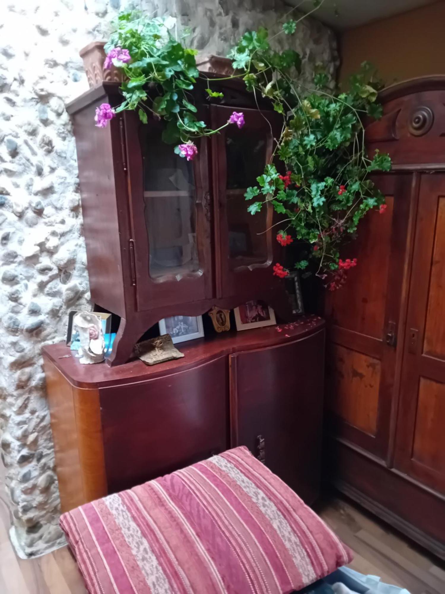 Rose Room 40M2 With Terrace 25M2 In Greeny Area For 4 Person Любляна Екстер'єр фото