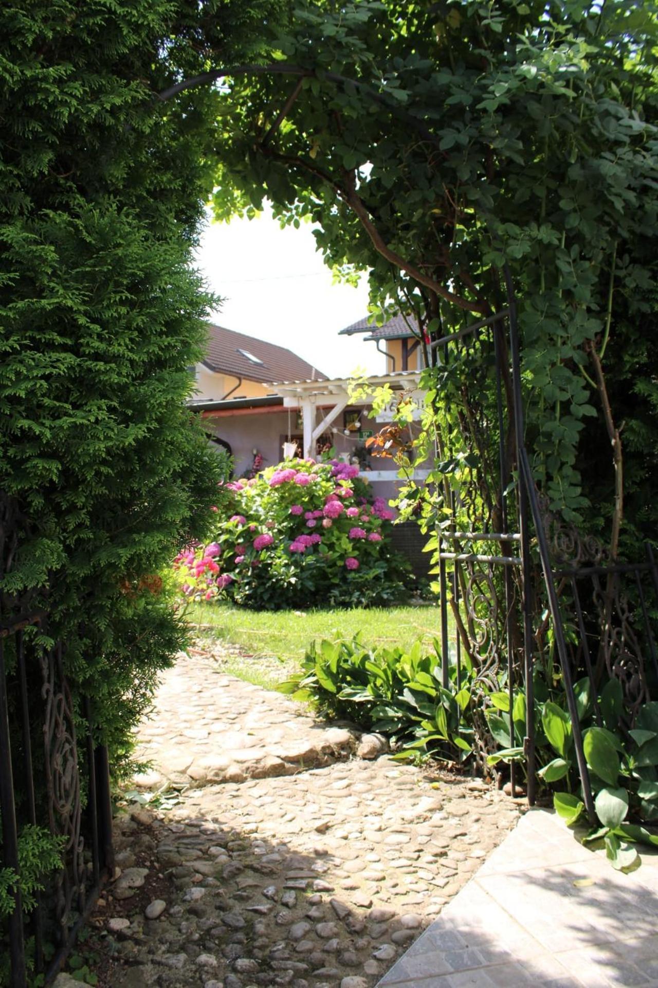 Rose Room 40M2 With Terrace 25M2 In Greeny Area For 4 Person Любляна Екстер'єр фото