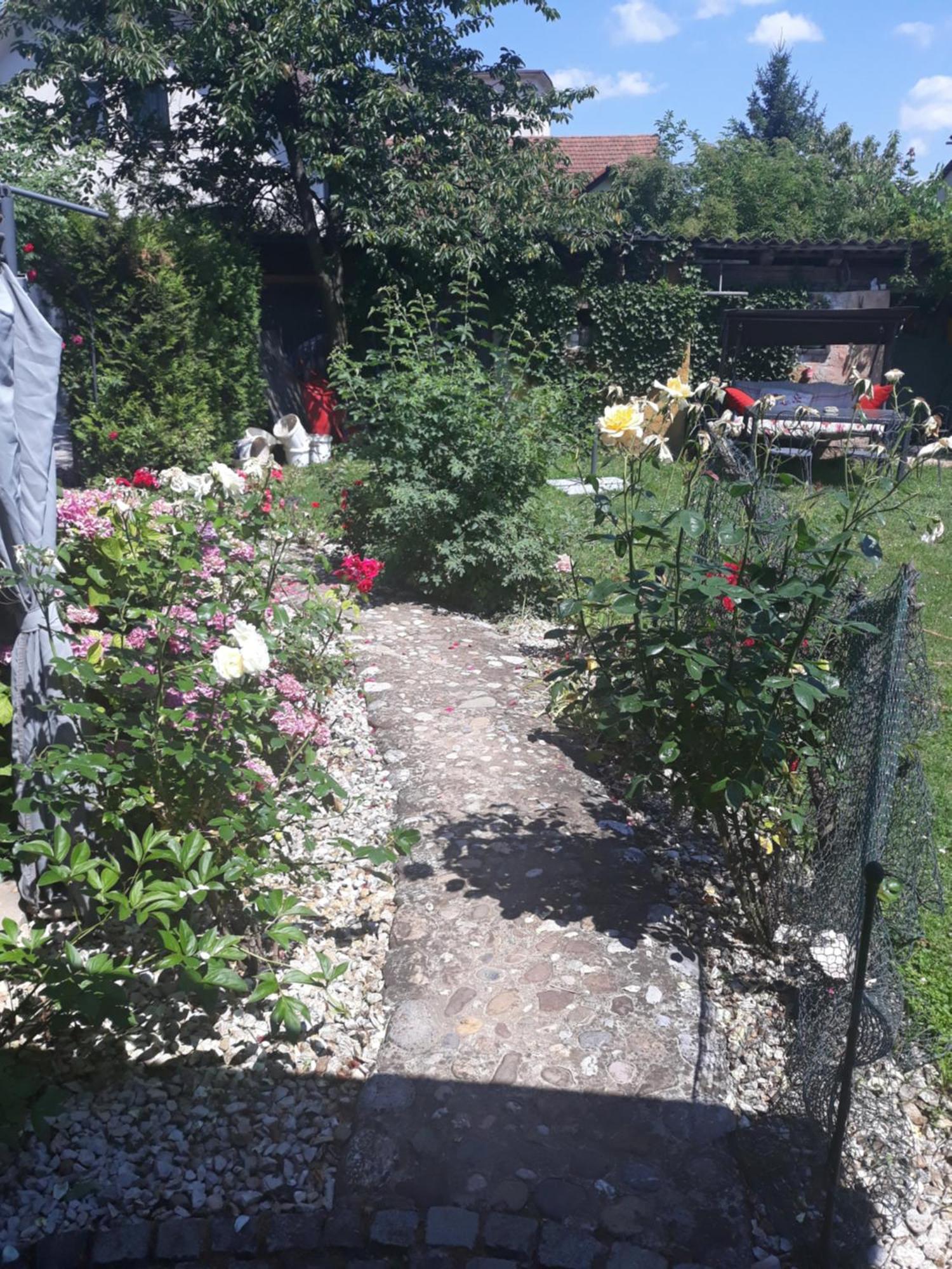 Rose Room 40M2 With Terrace 25M2 In Greeny Area For 4 Person Любляна Екстер'єр фото